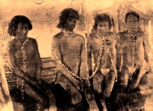 genocidios de nativos