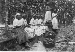 Girls-On-Cocoa-Plantation-Trinidad-British-West-Indies